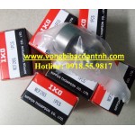 BẠC ĐẠN MCF26 IKO